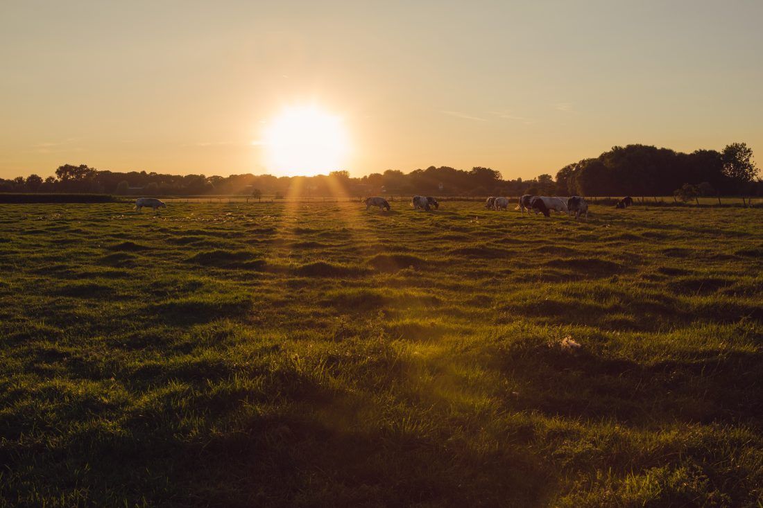 KIOZ zonsondergang6 kopiëren