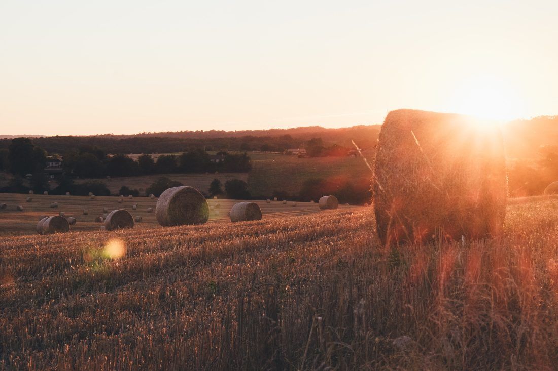 annie spratt z2u4tUrNvmY unsplash